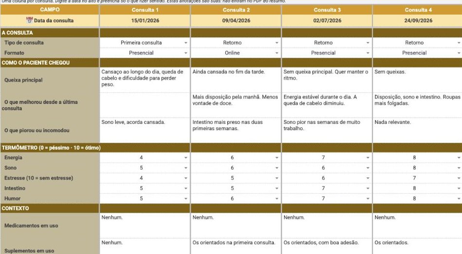 Aba Observações sobre o paciente: uma coluna por consulta com tipo de consulta, queixa, o que melhorou e o termômetro de energia, sono e estresse.